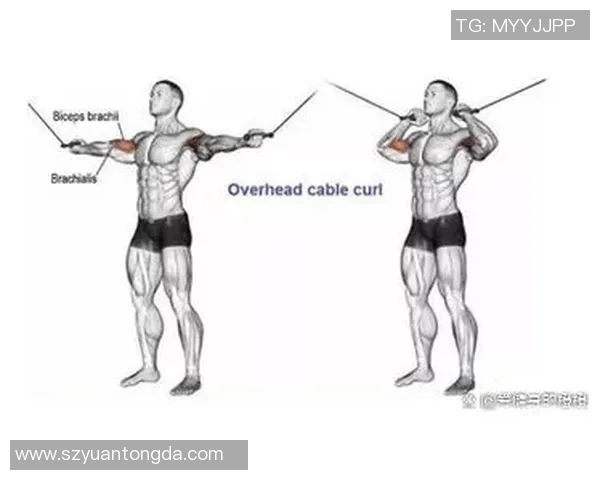 哑铃锻炼手臂肌肉的最佳方法与技巧分享，助你塑造完美臂型